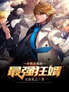 冷豔總裁的最強狂婿